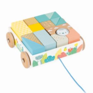 Carrito con cubos. Janod