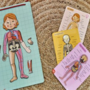 Cuerpo humano magnético