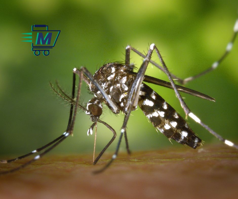 fumigadora equus para combatir a los mosquitos